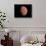 Venus, Artwork-null-Stretched Canvas displayed on a wall