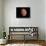 Venus, Artwork-null-Stretched Canvas displayed on a wall