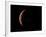 Venus, Artwork-null-Framed Photographic Print