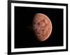 Venus, Artwork-null-Framed Photographic Print