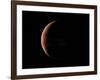 Venus, Artwork-null-Framed Photographic Print