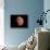 Venus, Artwork-null-Framed Photographic Print displayed on a wall