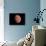 Venus, Artwork-null-Mounted Photographic Print displayed on a wall