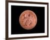 Venus, Artwork-null-Framed Photographic Print