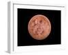 Venus, Artwork-null-Framed Photographic Print