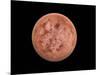 Venus, Artwork-null-Mounted Photographic Print