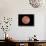 Venus, Artwork-null-Framed Photographic Print displayed on a wall