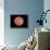 Venus, Artwork-null-Framed Photographic Print displayed on a wall