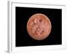 Venus, Artwork-null-Framed Photographic Print