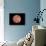 Venus, Artwork-null-Mounted Photographic Print displayed on a wall