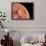 Venus, Artwork-null-Framed Photographic Print displayed on a wall