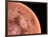 Venus, Artwork-null-Framed Photographic Print