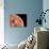 Venus, Artwork-null-Photographic Print displayed on a wall