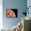 Venus, Artwork-null-Framed Photographic Print displayed on a wall