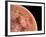 Venus, Artwork-null-Framed Photographic Print