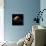 Venus, Artwork-null-Photographic Print displayed on a wall