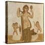 Venus at Her Toilet, from Thuburbo-Majus, Roman, 3rd Century AD-null-Stretched Canvas