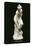 Venus Au Bain Statue-null-Stretched Canvas