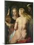Venus before a mirror (1614 / 1615)-Peter Paul Rubens-Mounted Giclee Print