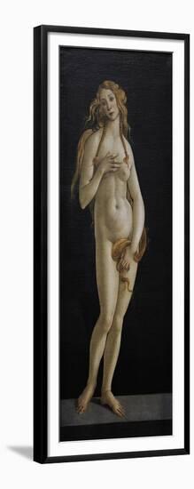 Venus, C.1480-Sandro Botticelli-Framed Giclee Print