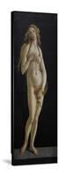Venus, C.1480-Sandro Botticelli-Stretched Canvas