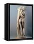 Venus Callipygian, Kallipygos, 1st Century, Marble, Full Relief-null-Framed Stretched Canvas