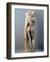 Venus Callipygian, Kallipygos, 1st Century, Marble, Full Relief-null-Framed Photographic Print