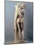 Venus Callipygian, Kallipygos, 1st Century, Marble, Full Relief-null-Mounted Photographic Print