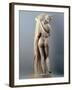 Venus Callipygian, Kallipygos, 1st Century, Marble, Full Relief-null-Framed Photographic Print