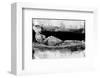 Venus d'Urban Ouest-Rosa Mesa-Framed Premium Giclee Print