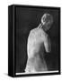 Venus De Milo, Back View, Hellenistic Period, C.130-100 Bc-null-Framed Stretched Canvas