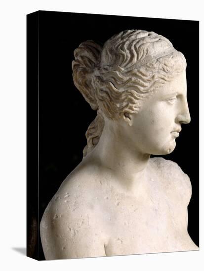 Venus de Milo, Detail of the Head, Hellenistic Period, c.100 BC-Greek-Stretched Canvas