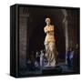 Venus De Milo, Musee Du Louvre, Paris, France, Europe-Roy Rainford-Framed Stretched Canvas