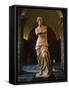 Venus De Milo, Musee Du Louvre, Paris, France, Europe-Rainford Roy-Framed Stretched Canvas