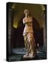 Venus De Milo, Musee Du Louvre, Paris, France, Europe-Rainford Roy-Stretched Canvas