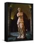 Venus De Milo, Musee Du Louvre, Paris, France, Europe-Rainford Roy-Framed Stretched Canvas