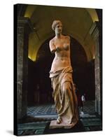 Venus De Milo, Musee Du Louvre, Paris, France, Europe-Rainford Roy-Stretched Canvas