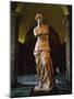Venus De Milo, Musee Du Louvre, Paris, France, Europe-Rainford Roy-Mounted Photographic Print