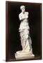 Venus De Milo-null-Framed Premium Photographic Print