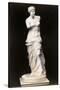 Venus De Milo-null-Stretched Canvas