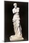 Venus De Milo-null-Mounted Photographic Print