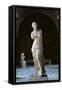 Venus de Milo-null-Framed Stretched Canvas