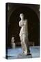 Venus de Milo-null-Stretched Canvas