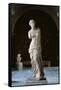 Venus de Milo-null-Framed Stretched Canvas