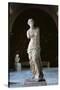 Venus de Milo-null-Stretched Canvas