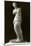 Venus de Milo-null-Mounted Art Print