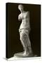 Venus de Milo-null-Stretched Canvas