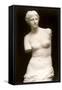 Venus de Milo-null-Framed Stretched Canvas