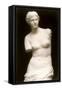 Venus de Milo-null-Framed Stretched Canvas