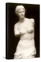 Venus de Milo-null-Stretched Canvas